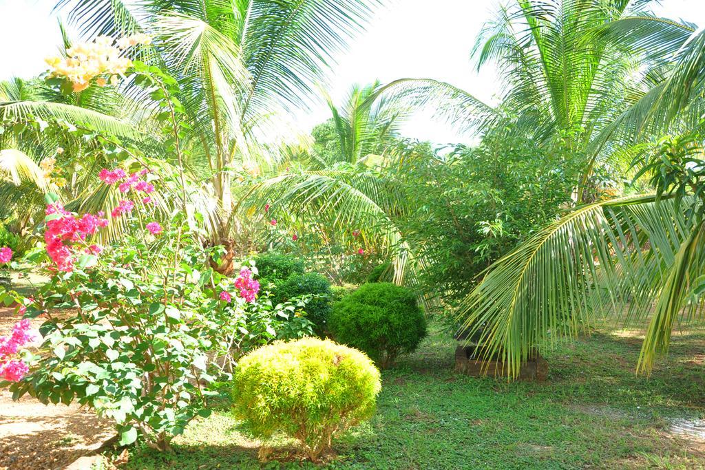 מלון אודוואלאווה Coconut Garden House מראה חיצוני תמונה