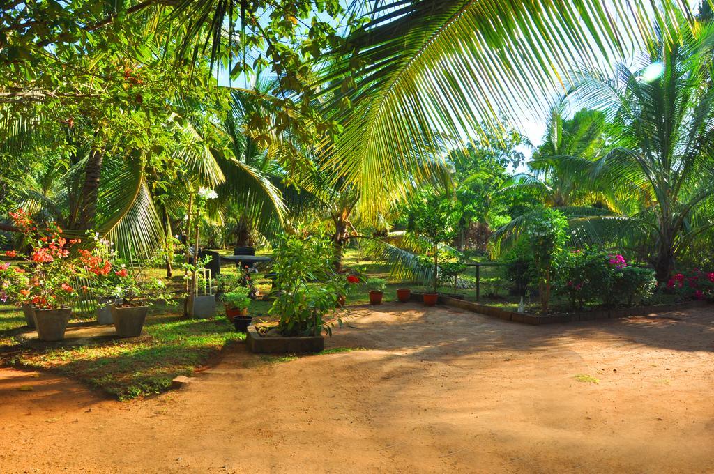מלון אודוואלאווה Coconut Garden House מראה חיצוני תמונה