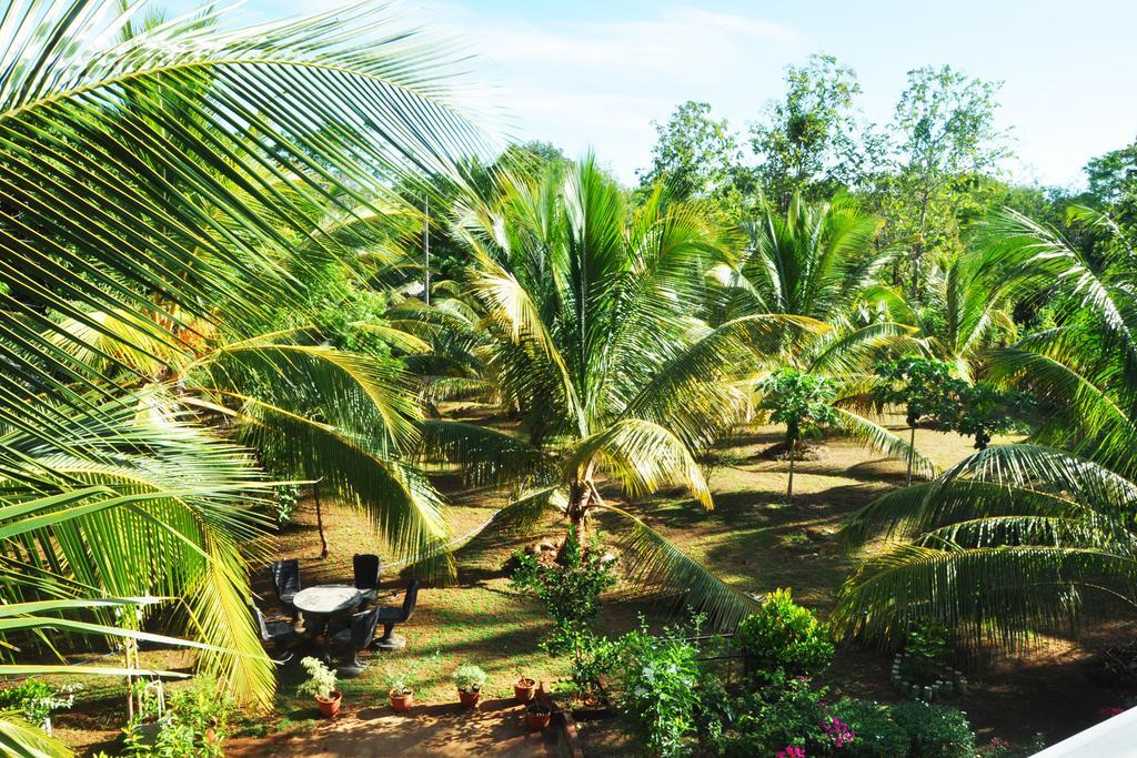 מלון אודוואלאווה Coconut Garden House מראה חיצוני תמונה